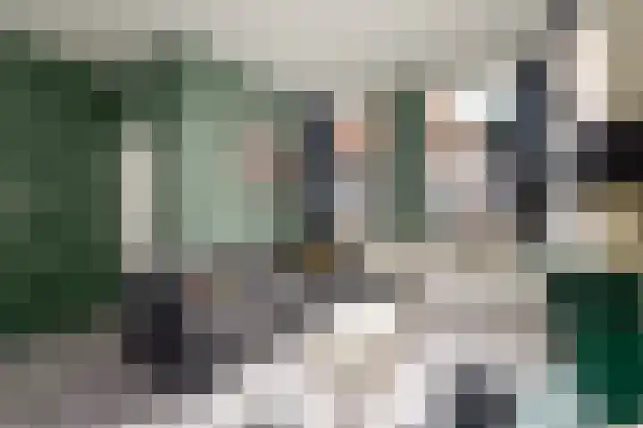 Nieuwe Onnastraat 26 Steenwijk thumbnail 8