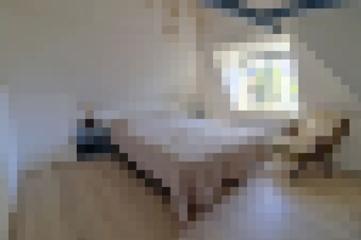 Nieuwe Onnastraat 30 Steenwijk thumbnail 7