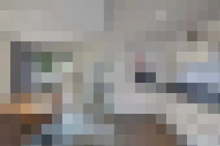 Nieuwe Onnastraat 36 Steenwijk thumbnail 11