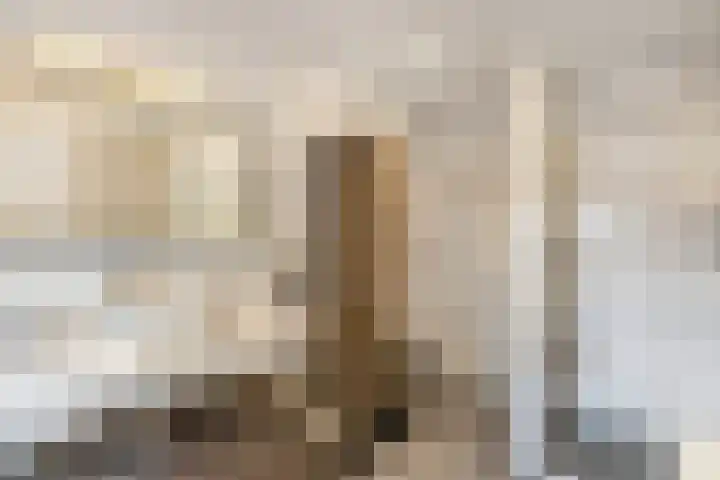 Nieuwe Onnastraat 36 Steenwijk thumbnail 17