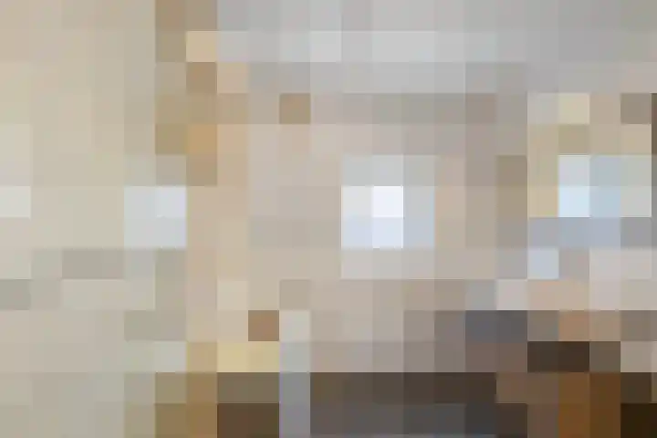 Nieuwe Onnastraat 36 Steenwijk thumbnail 18