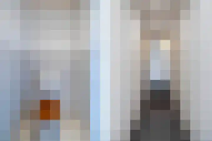 Nieuwe Onnastraat 36 Steenwijk thumbnail 19
