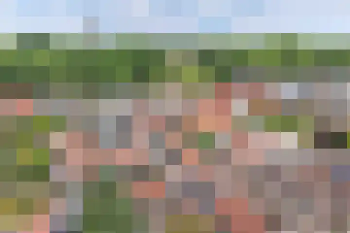 Nieuwe Onnastraat 36 Steenwijk thumbnail 33