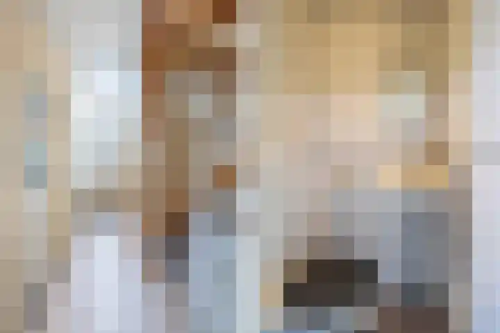 Nieuwe Onnastraat 36 Steenwijk thumbnail 4