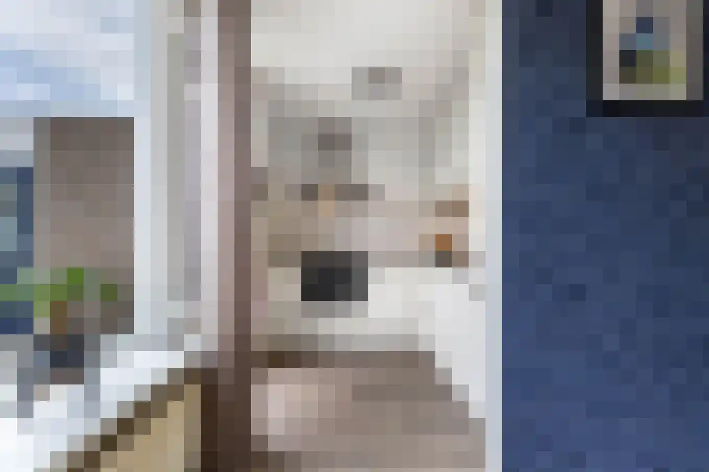Nieuwe Onnastraat 69 Steenwijk thumbnail 13