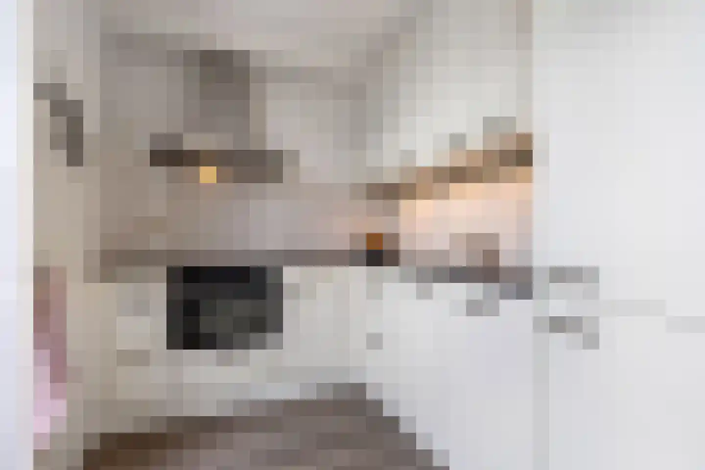 Nieuwe Onnastraat 69 Steenwijk thumbnail 14