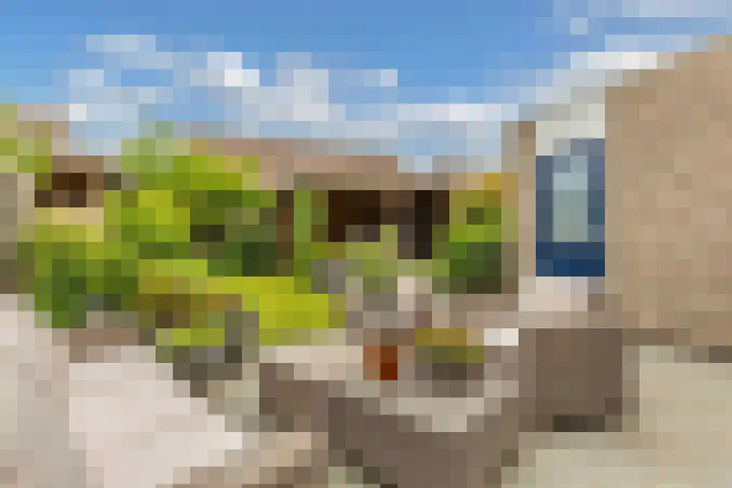 Nieuwe Onnastraat 69 Steenwijk foto 2