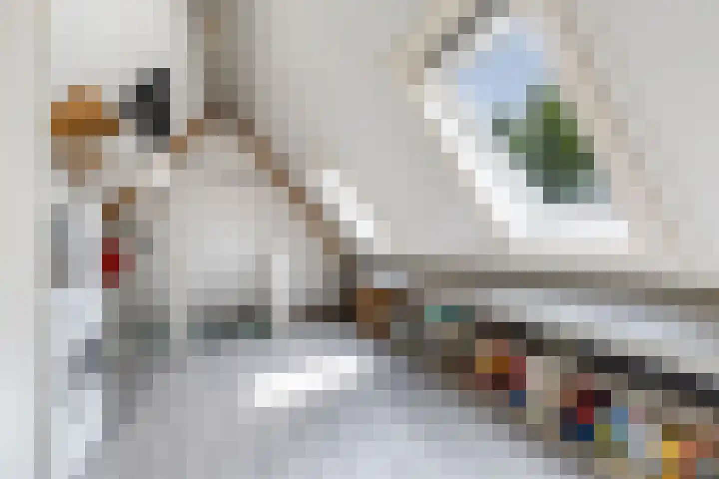 Nieuwe Onnastraat 69 Steenwijk thumbnail 25