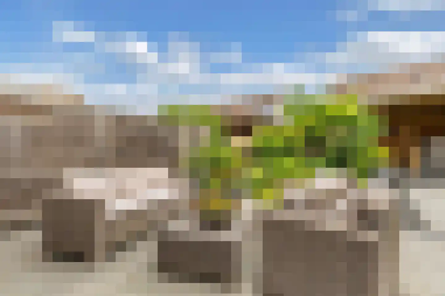 Nieuwe Onnastraat 69 Steenwijk thumbnail 27
