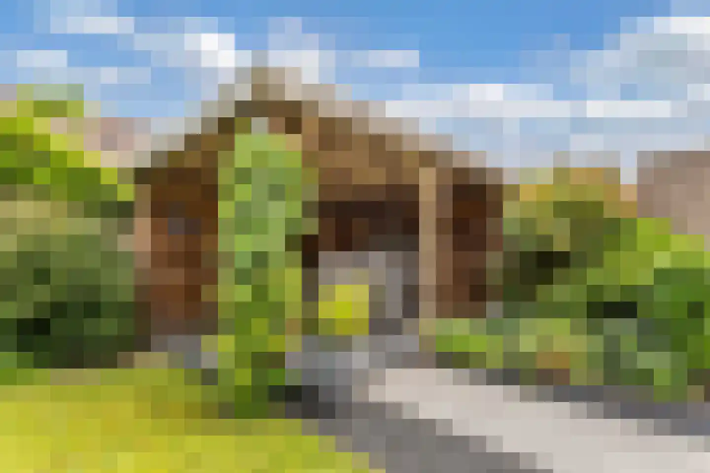 Nieuwe Onnastraat 69 Steenwijk thumbnail 29
