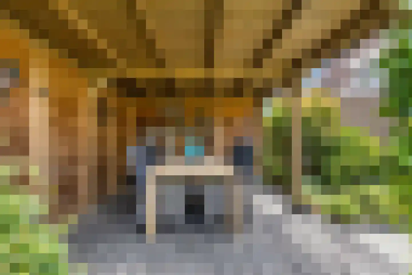 Nieuwe Onnastraat 69 Steenwijk thumbnail 30