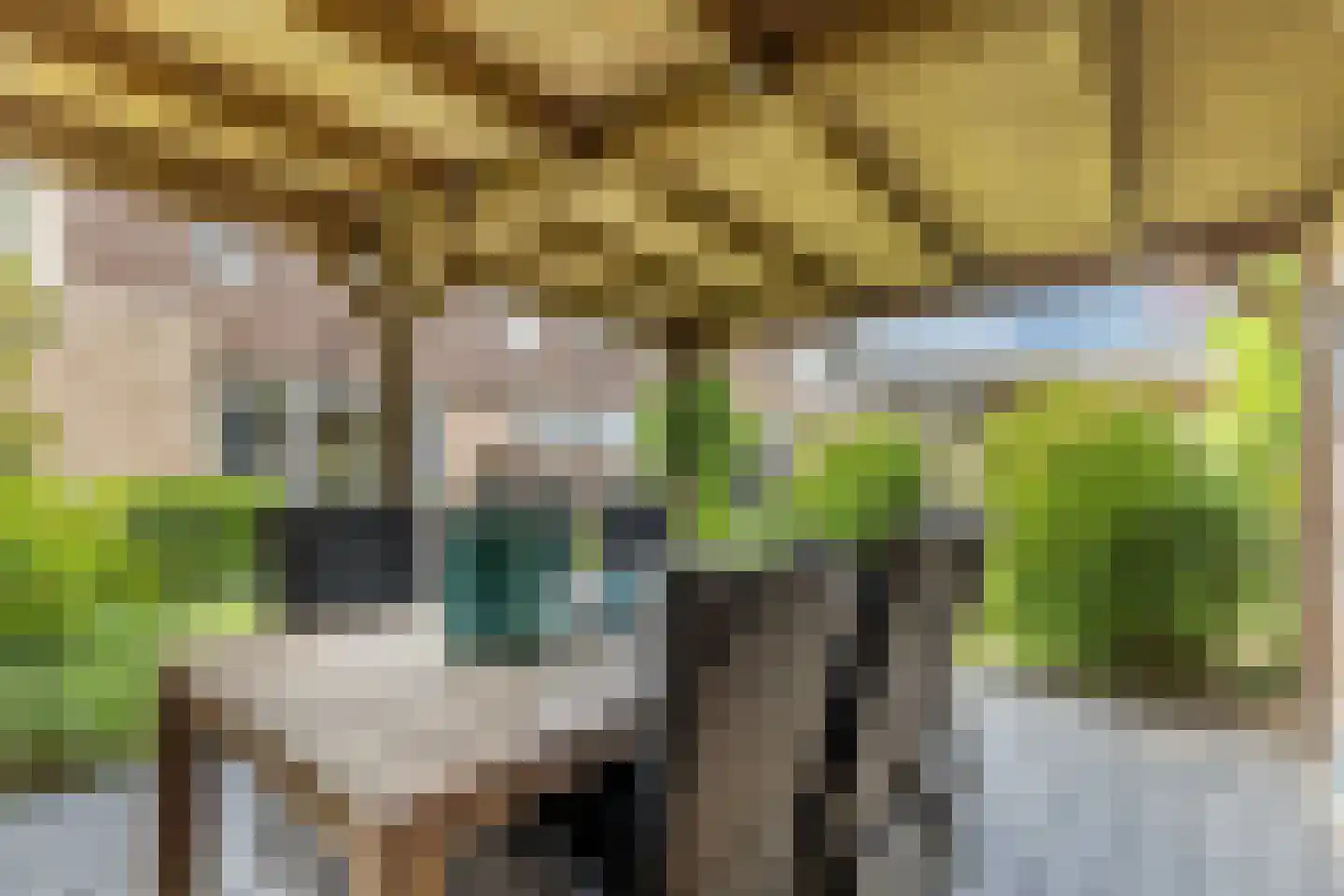 Nieuwe Onnastraat 69 Steenwijk thumbnail 31