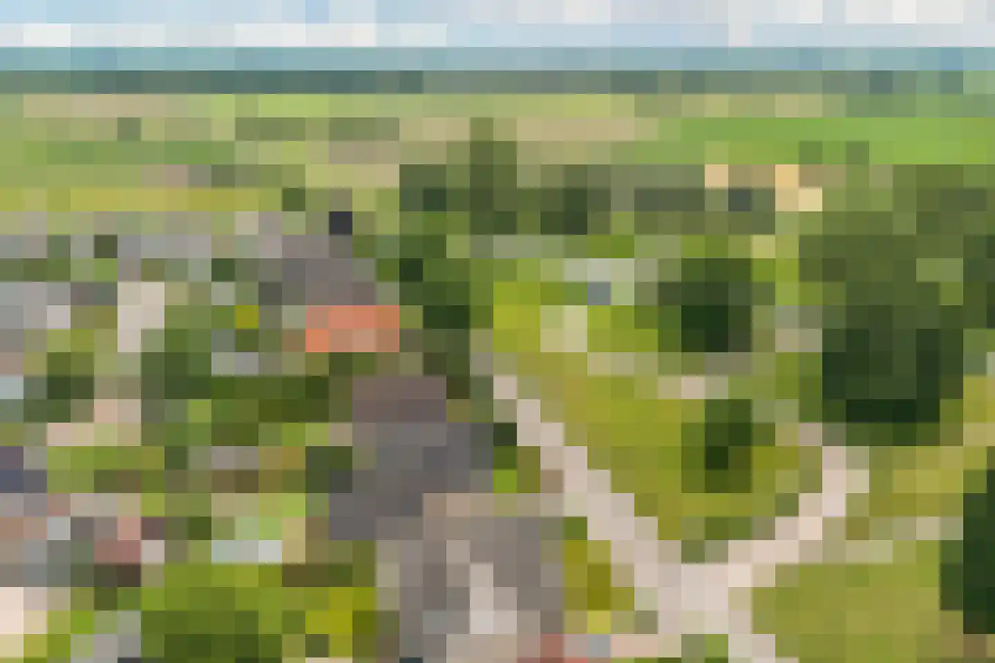 Nieuwe Onnastraat 69 Steenwijk thumbnail 38