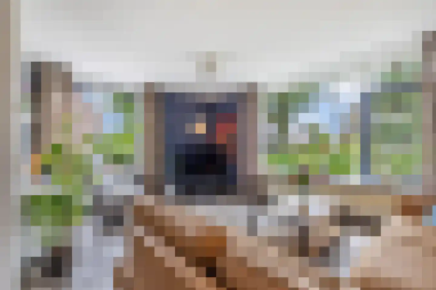 Nieuwe Onnastraat 69 Steenwijk thumbnail 7