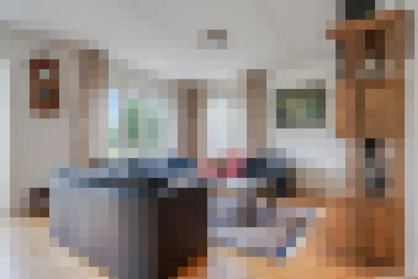 Nieuwe Onnastraat 85 Steenwijk thumbnail 11