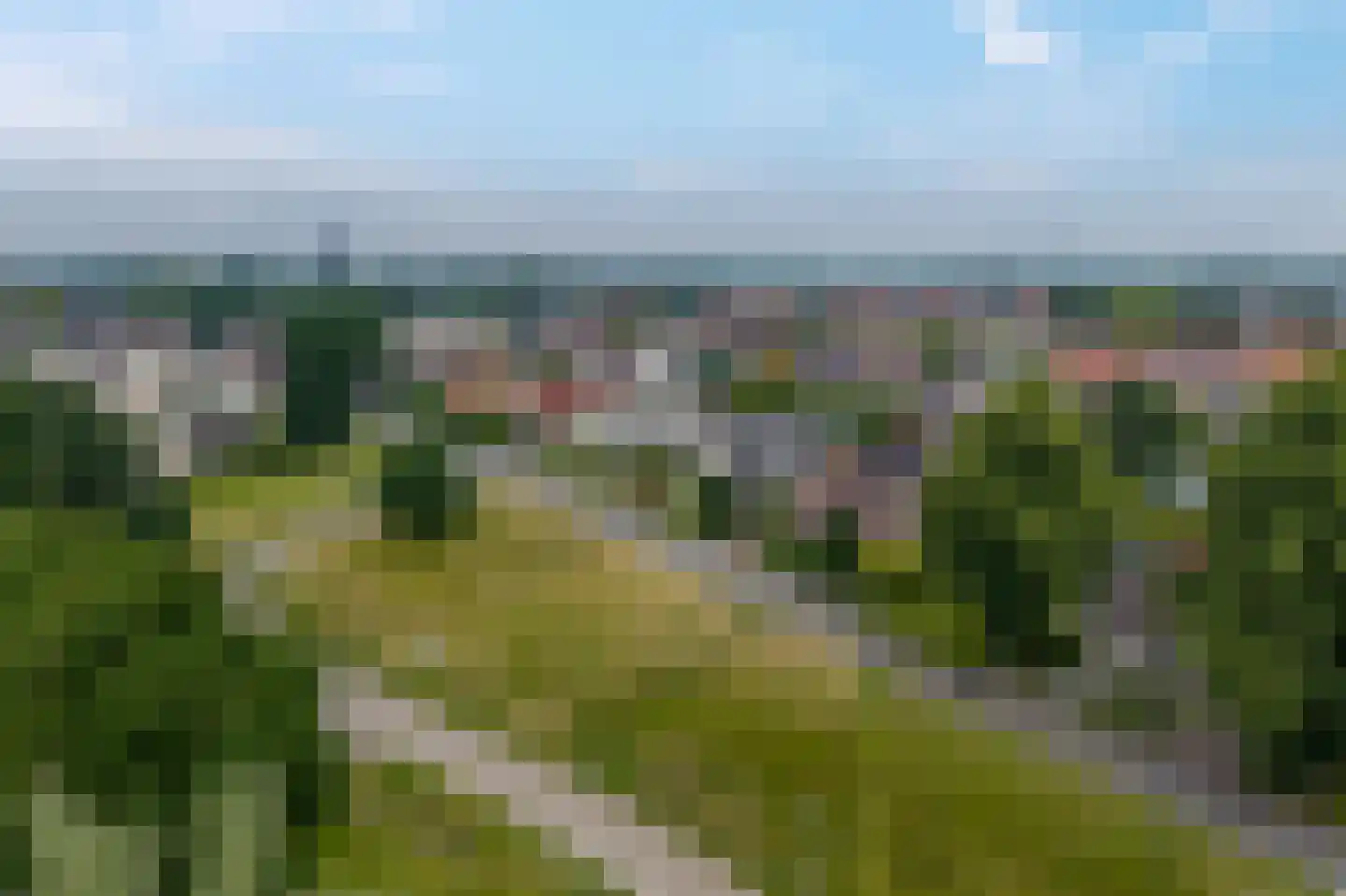 Nieuwe Onnastraat 85 Steenwijk foto 2