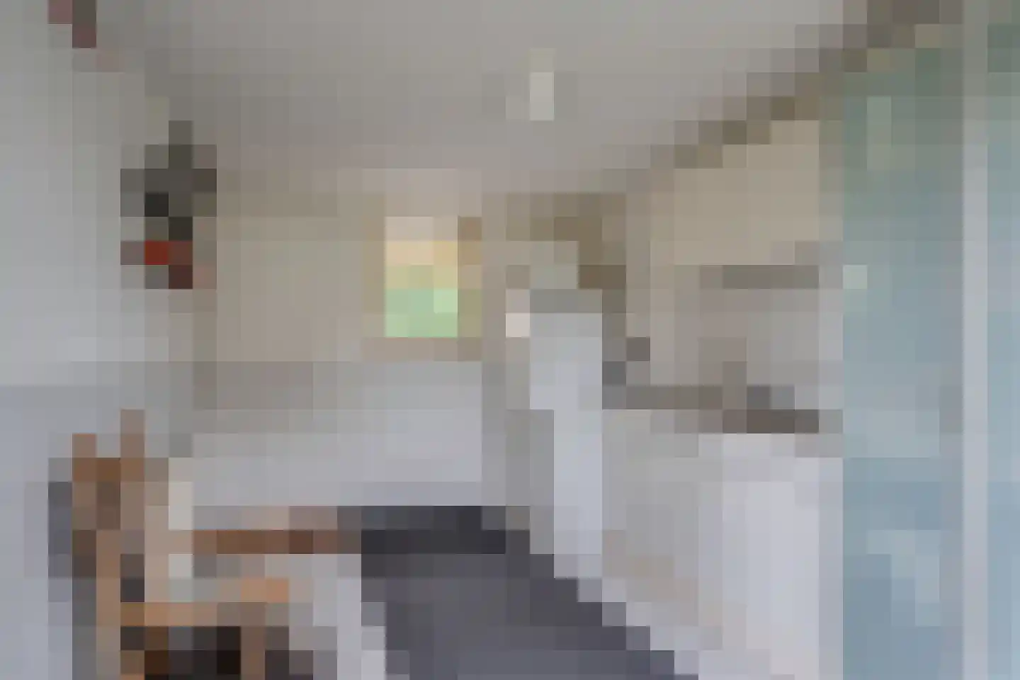 Nieuwe Onnastraat 85 Steenwijk thumbnail 23