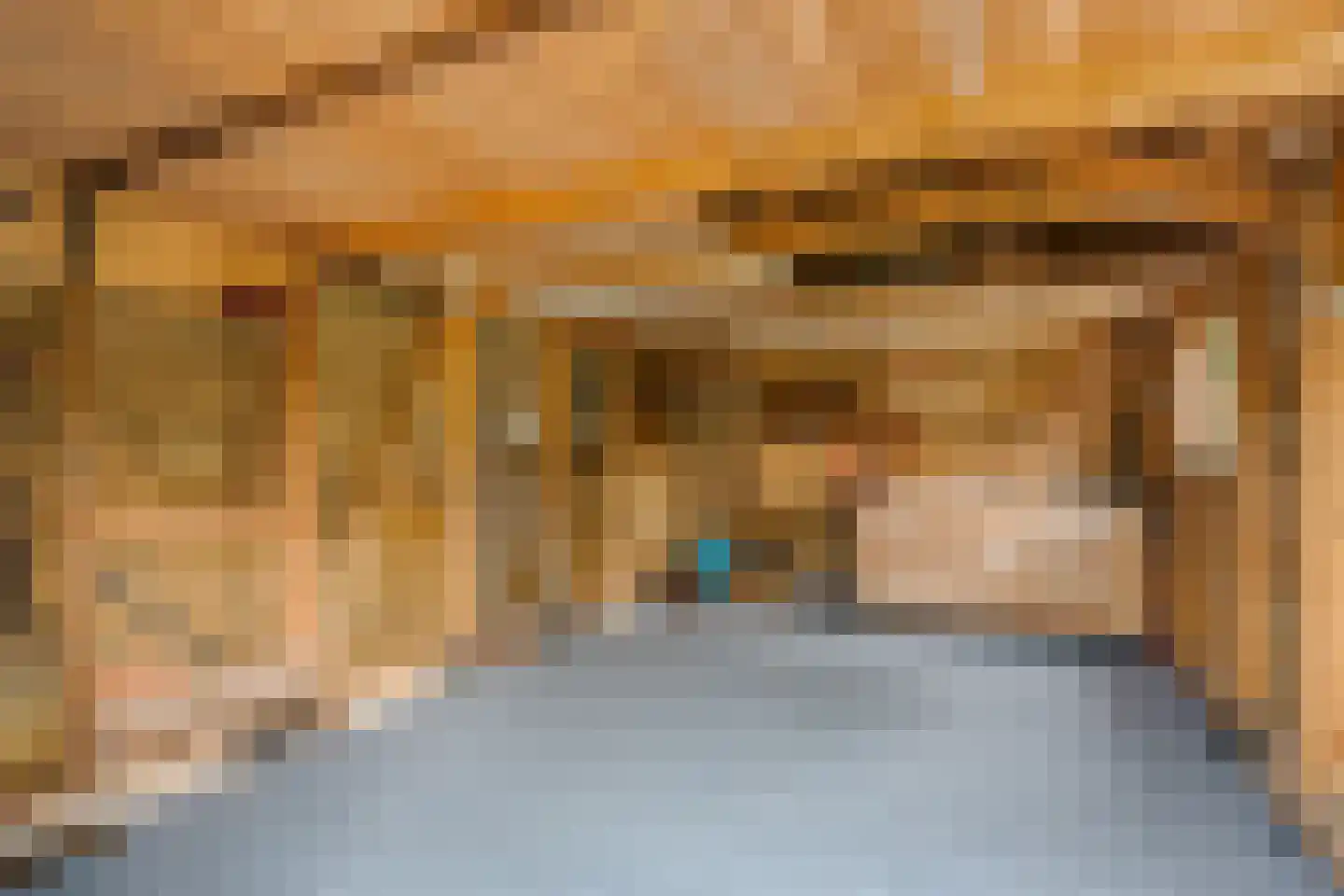 Nieuwe Onnastraat 85 Steenwijk thumbnail 29