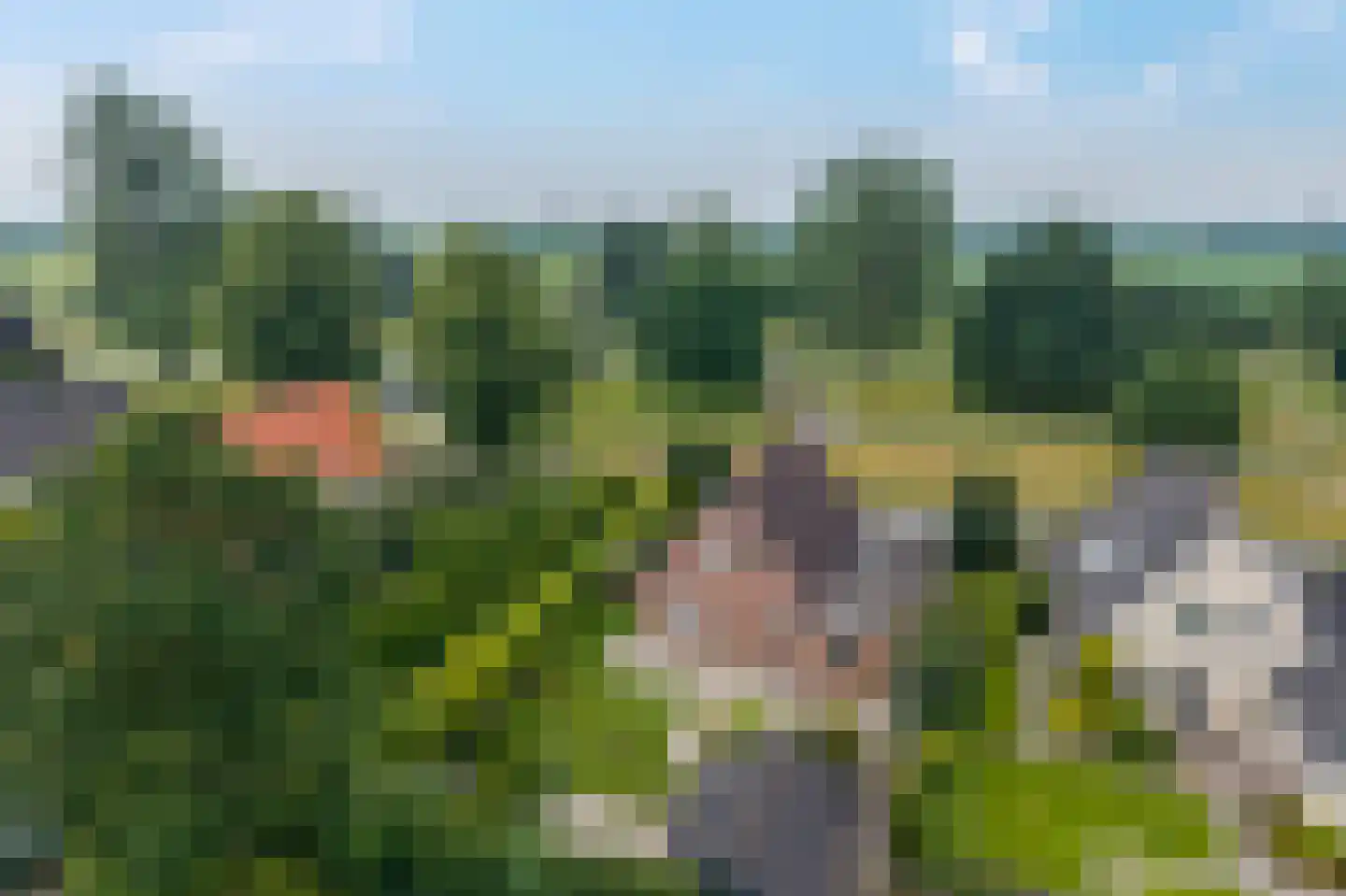 Nieuwe Onnastraat 85 Steenwijk foto 3