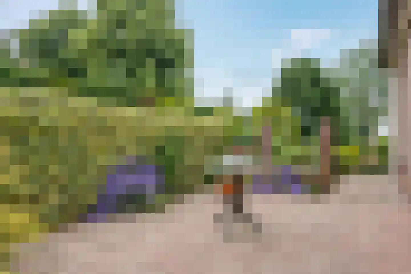 Nieuwe Onnastraat 85 Steenwijk thumbnail 33