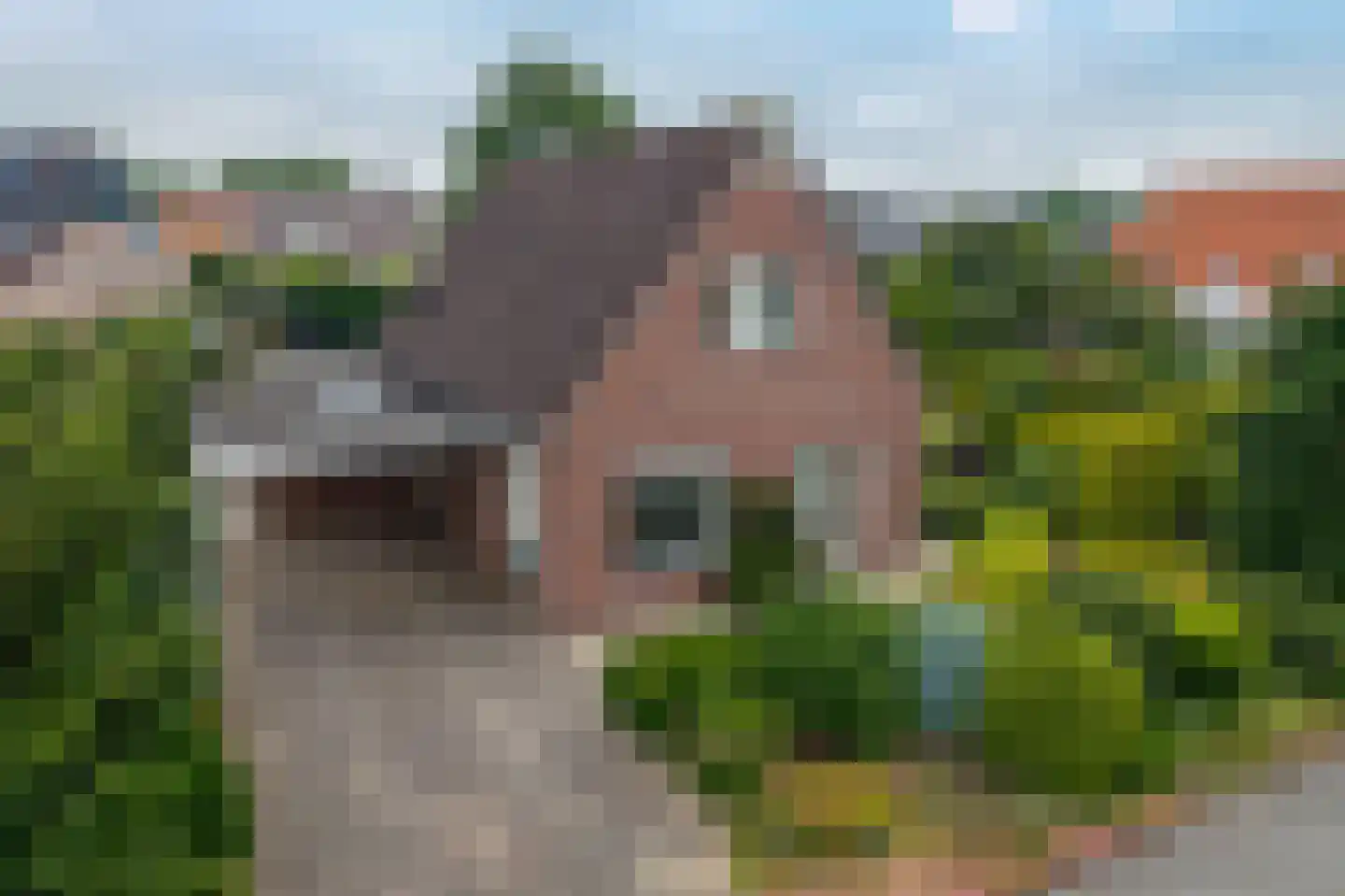 Nieuwe Onnastraat 85 Steenwijk thumbnail 46