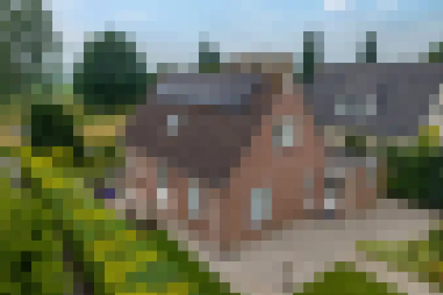 Nieuwe Onnastraat 85 Steenwijk thumbnail 47