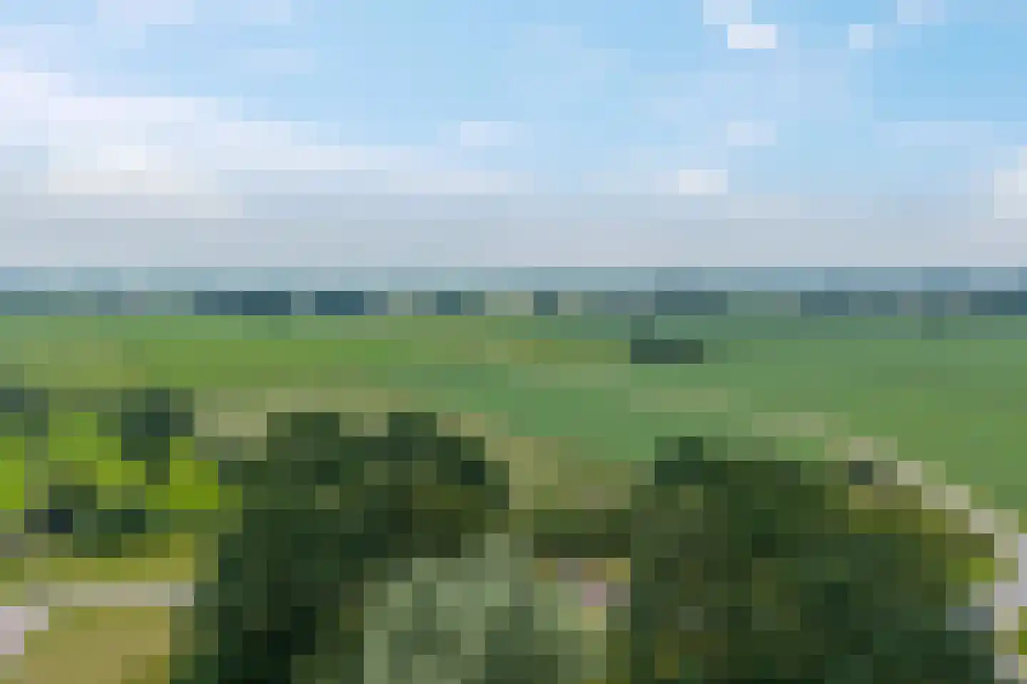 Nieuwe Onnastraat 85 Steenwijk thumbnail 51