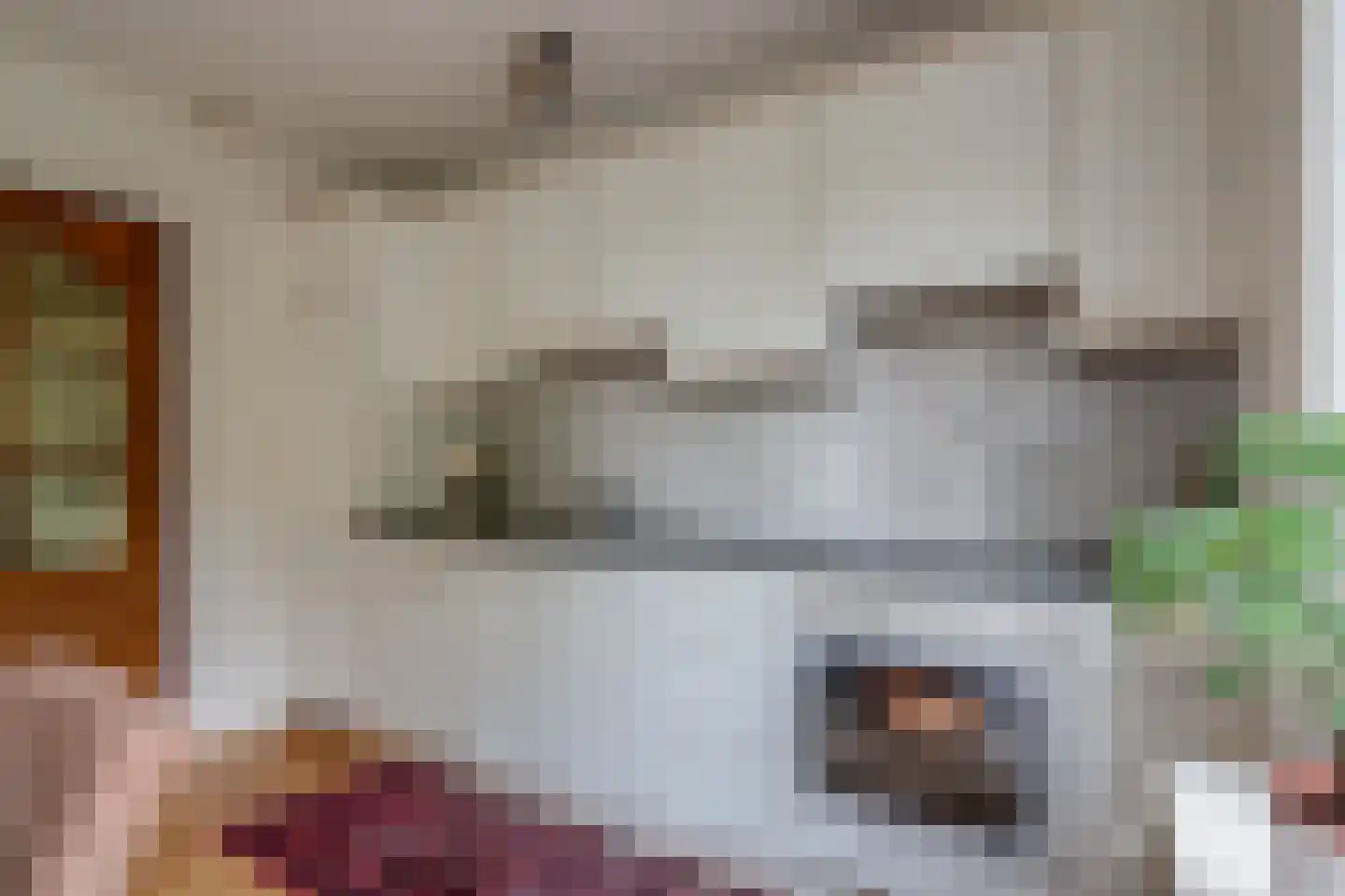 Nieuwe Onnastraat 85 Steenwijk thumbnail 8
