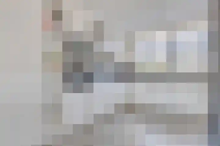 Nieuwe Oostdijk 4 Goedereede thumbnail 10