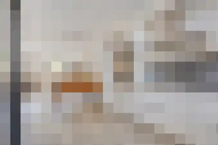 Nieuwe Oostdijk 4 Goedereede thumbnail 12