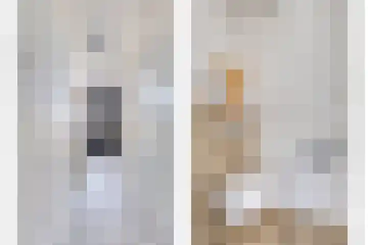 Nieuwe Oostdijk 4 Goedereede thumbnail 13