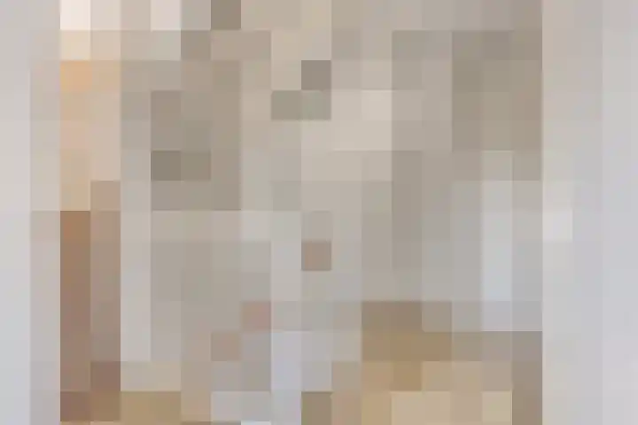 Nieuwe Oostdijk 4 Goedereede thumbnail 15