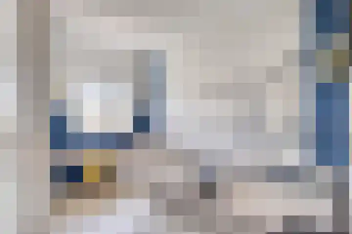 Nieuwe Oostdijk 4 Goedereede thumbnail 16