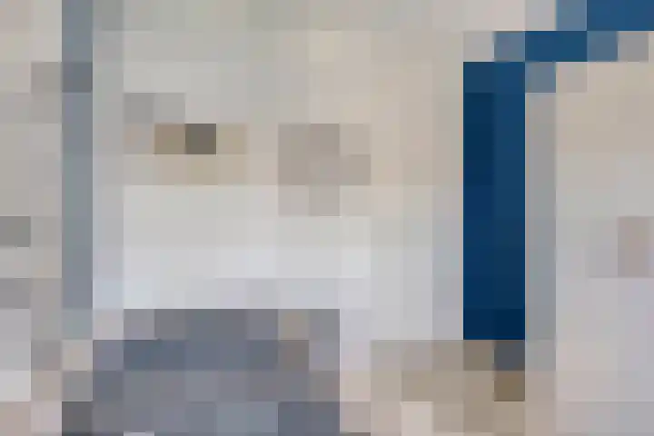 Nieuwe Oostdijk 4 Goedereede thumbnail 17