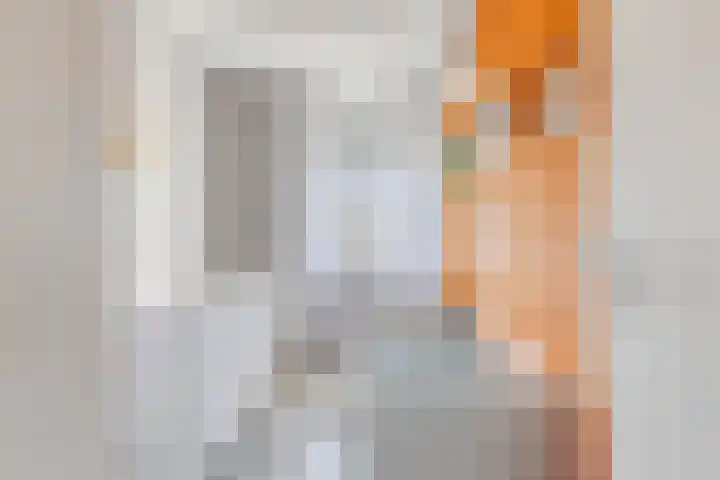 Nieuwe Oostdijk 4 Goedereede thumbnail 18