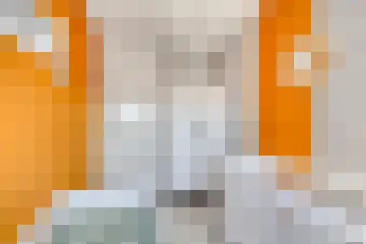 Nieuwe Oostdijk 4 Goedereede thumbnail 19
