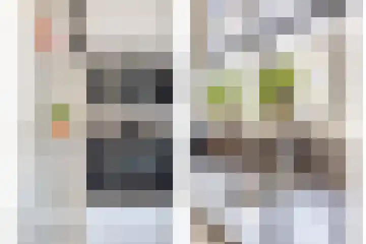 Nieuwe Oostdijk 4 Goedereede foto 2