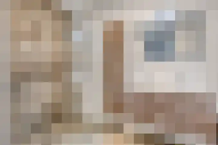 Nieuwe Oostdijk 4 Goedereede thumbnail 20