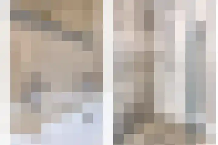 Nieuwe Oostdijk 4 Goedereede thumbnail 22