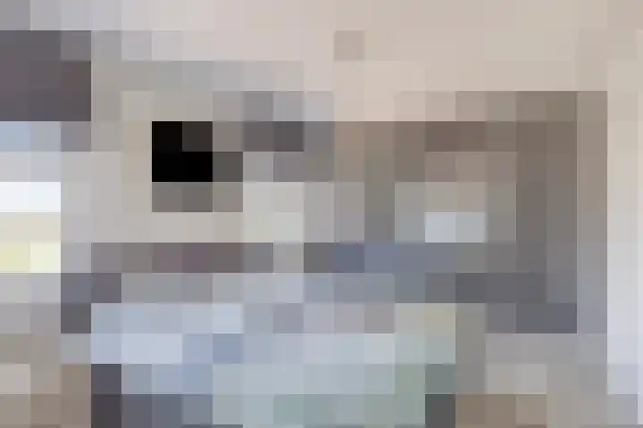 Nieuwe Oostdijk 4 Goedereede thumbnail 23