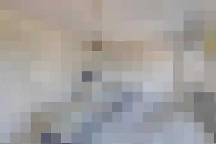 Nieuwe Oostdijk 4 Goedereede thumbnail 24
