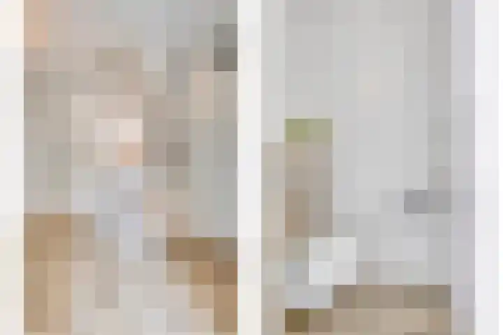 Nieuwe Oostdijk 4 Goedereede thumbnail 25