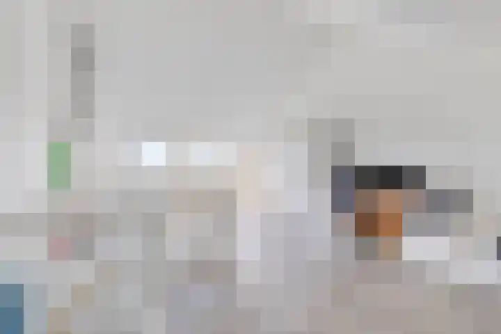 Nieuwe Oostdijk 4 Goedereede thumbnail 26
