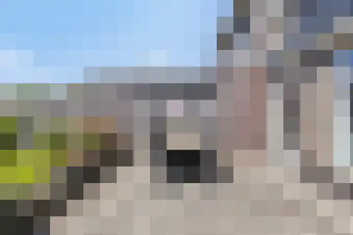 Nieuwe Oostdijk 4 Goedereede thumbnail 28