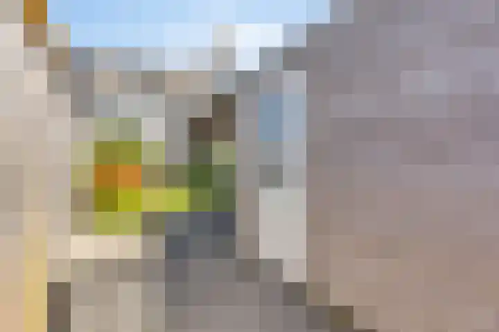 Nieuwe Oostdijk 4 Goedereede thumbnail 32