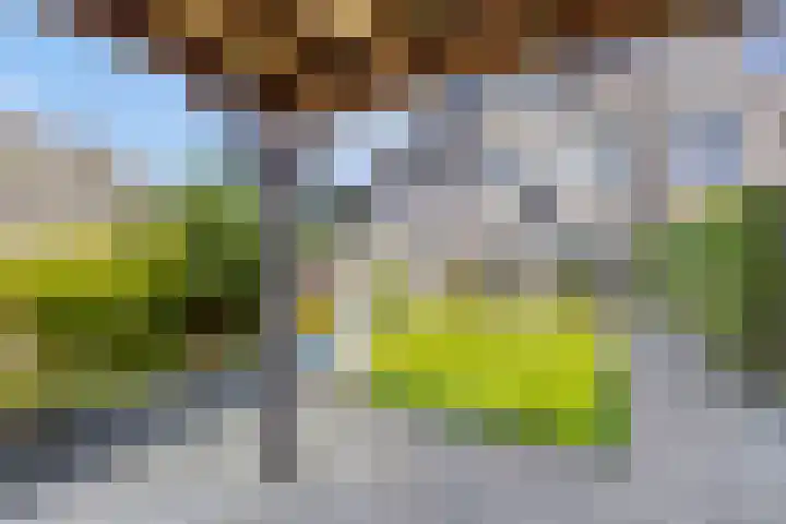 Nieuwe Oostdijk 4 Goedereede thumbnail 33