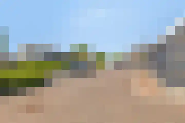 Nieuwe Oostdijk 4 Goedereede thumbnail 38