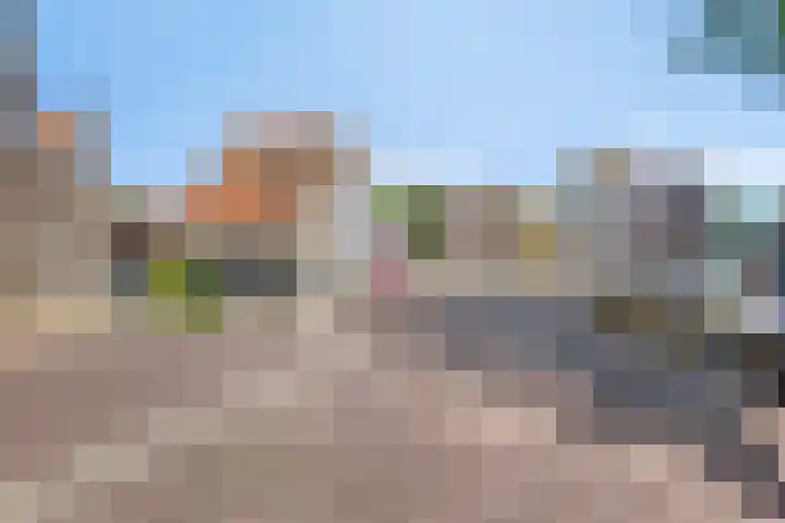 Nieuwe Oostdijk 4 Goedereede thumbnail 40