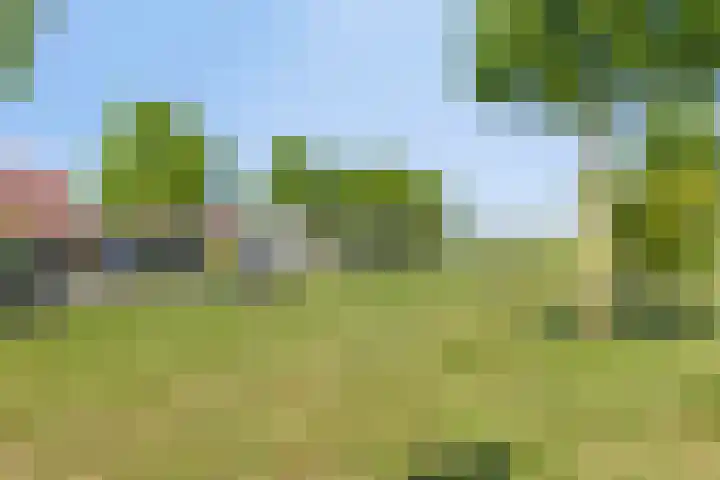 Nieuwe Oostdijk 4 Goedereede thumbnail 41