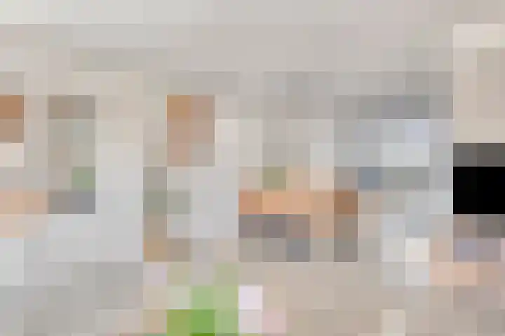 Nieuwe Oostdijk 4 Goedereede thumbnail 7